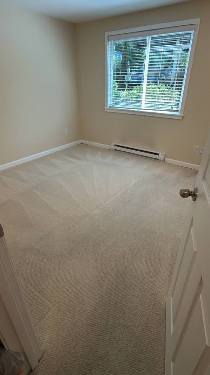 Freshly cleaned carpet in a Bellevue home